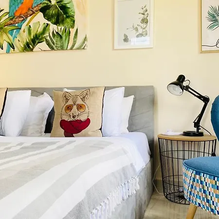 Apartello Artur - Modern - סבטי ולאס