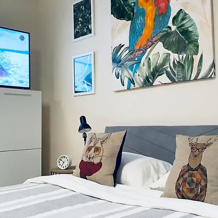 Apartello Artur - Modern - סבטי ולאס